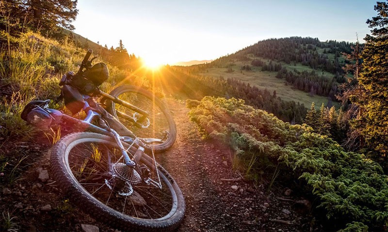 iusto-vero-repellat-eum-repudiandae-aliquam-et-est